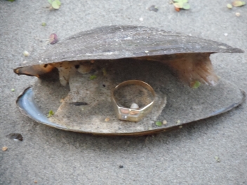 Lažiluzija i Svemirci